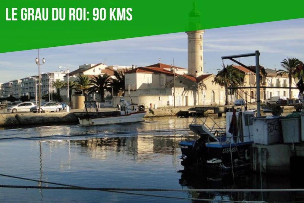 Le Figuier - Clim - Wifi Lejlighed Villeneuve-lès-Avignon Eksteriør billede